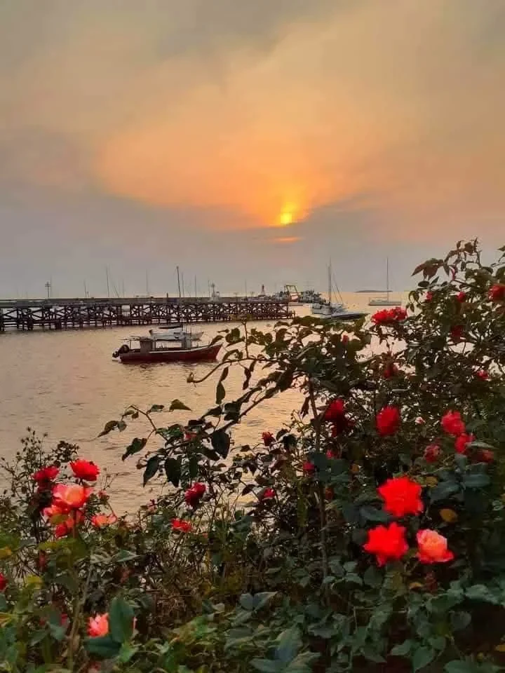 Atardecer en Colonia